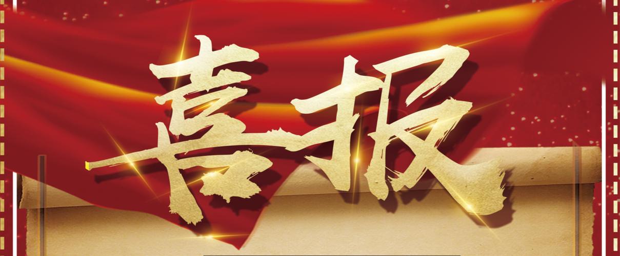 蜘蛛池对网站的影响